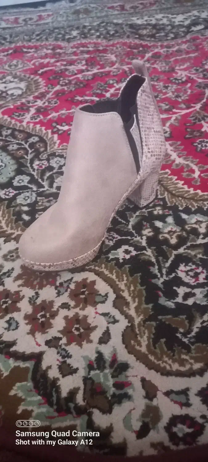 کفش نو نو|کیف، کفش، کمربند|سهند, |دیوار