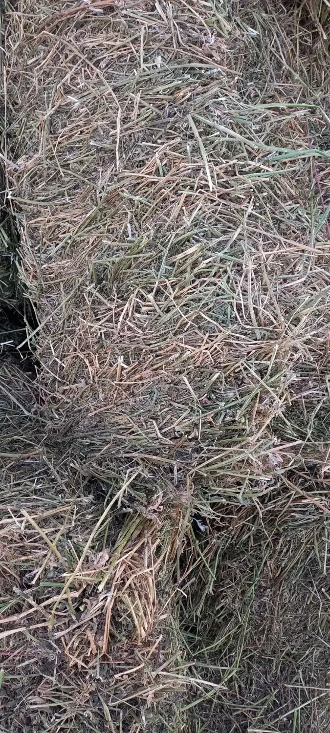 یونجه پرس انباری چین ۳|لوازم جانبی حیوانات|اراک, |دیوار