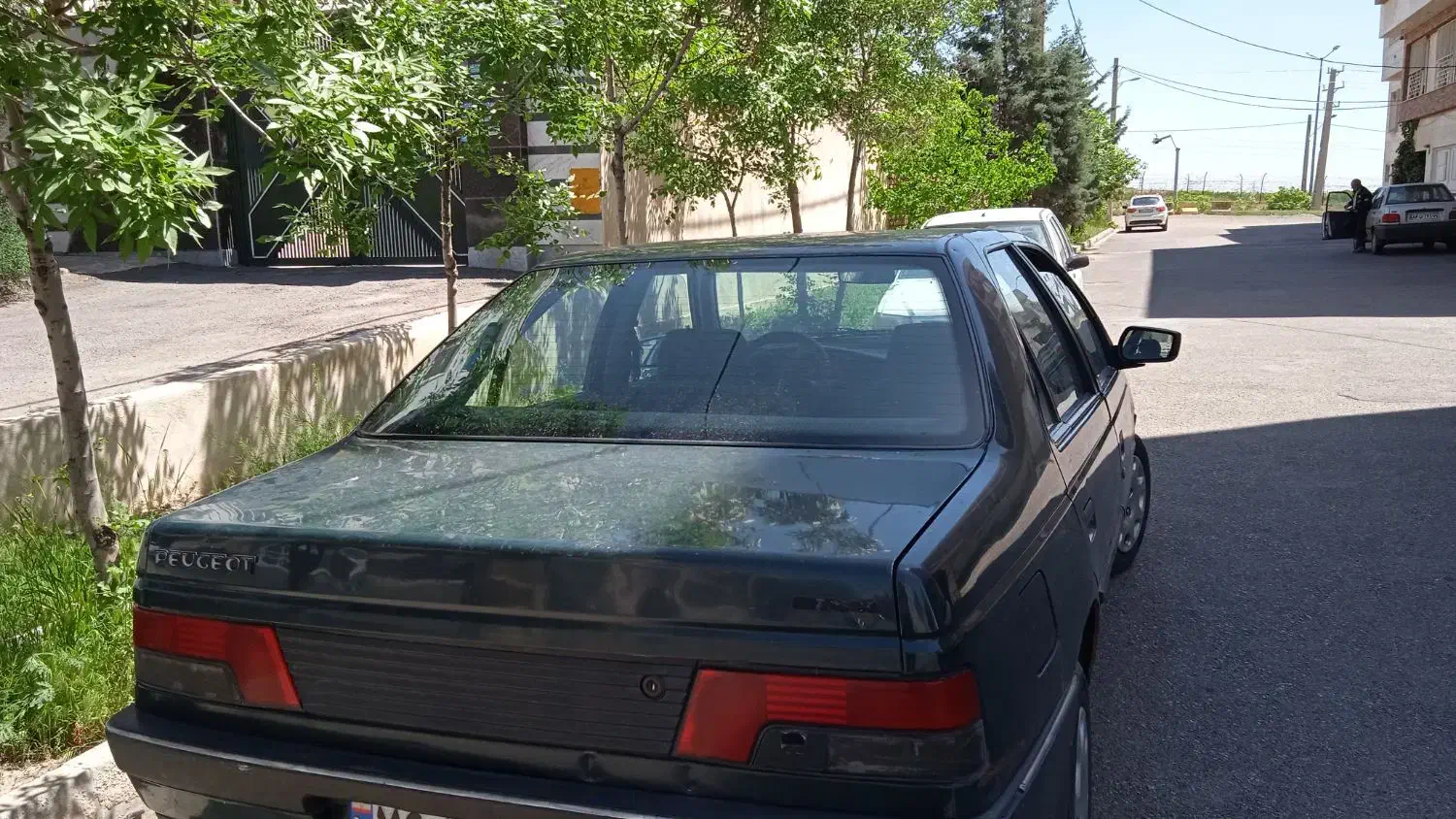 پژو اردی|خودرو سواری و وانت|زاهدان, |دیوار