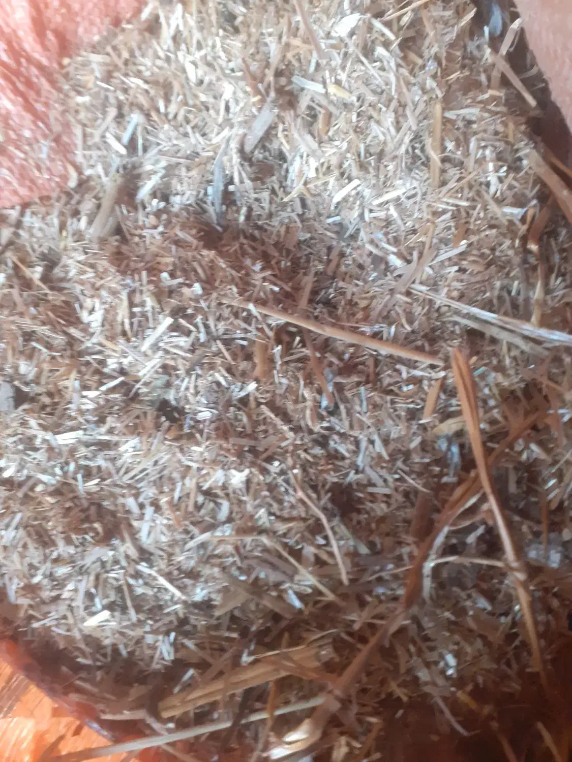 کاه|لوازم جانبی حیوانات|گالیکش, |دیوار