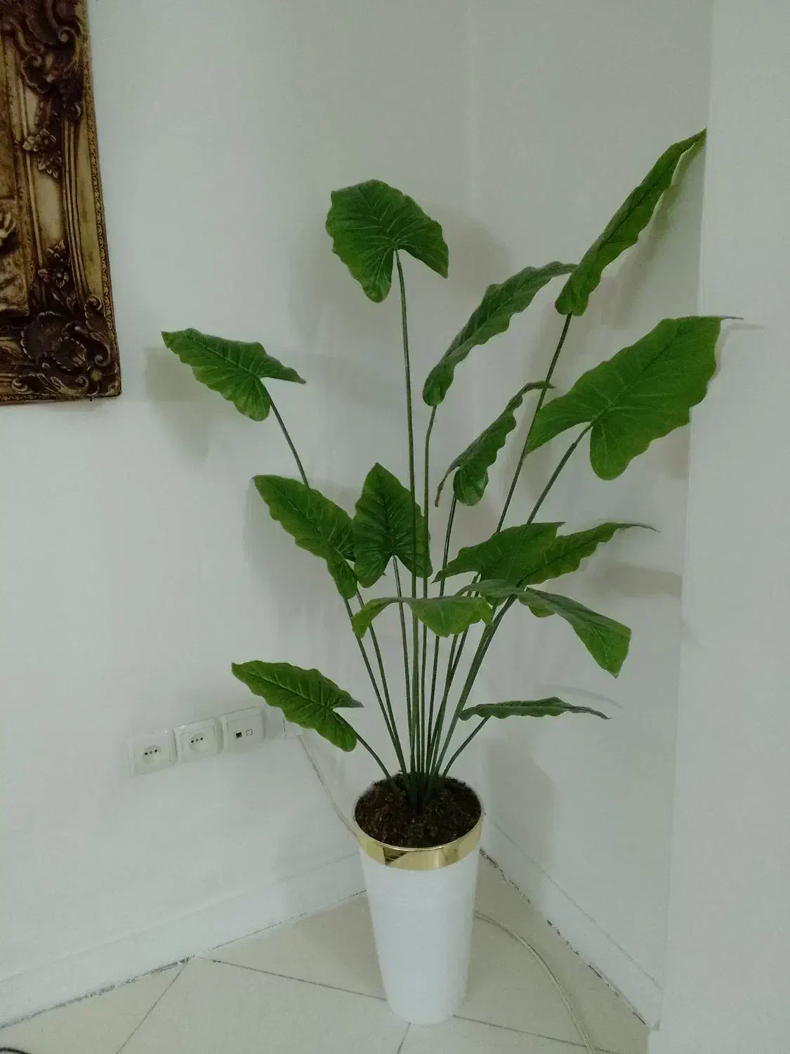 درختچه مصنوعی|گل مصنوعی|تهران, مقدم|دیوار