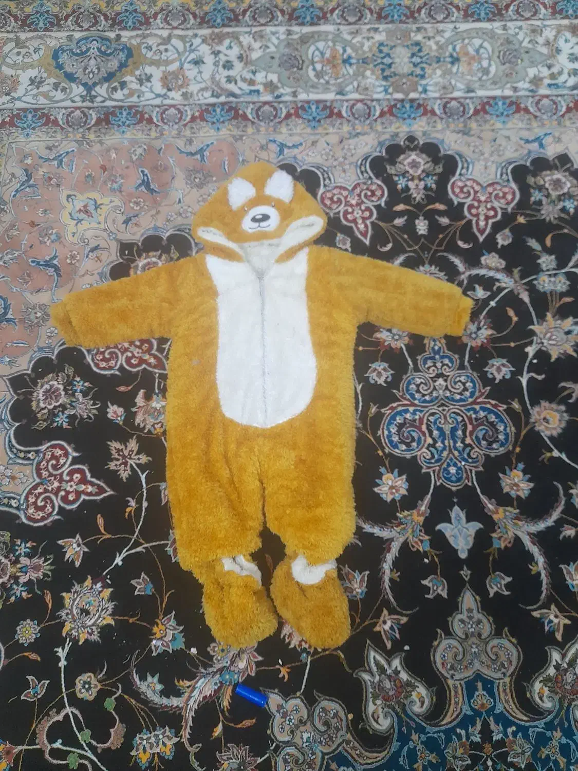 کاپشن نو|کفش و لباس بچه|زارچ, |دیوار