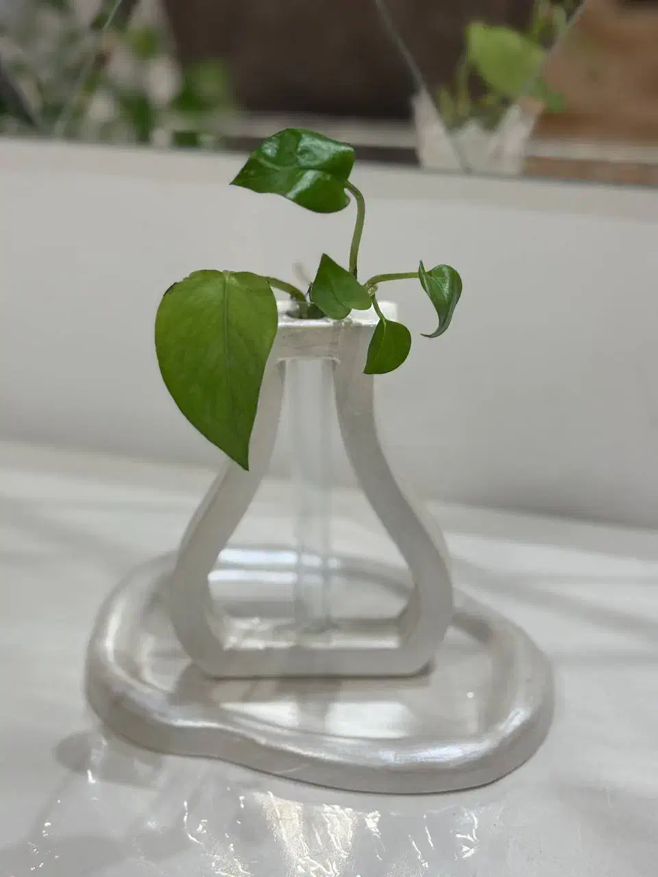 گلجا خاص|مجسمه، تندیس، ماکت|کوچصفهان, |دیوار