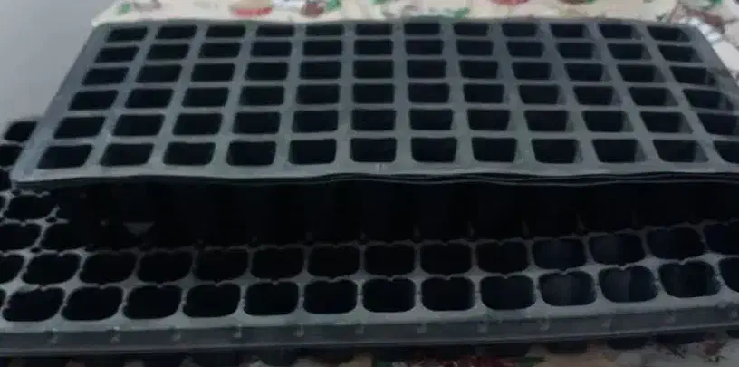 ظرف یکبار مصرف|ظروف نگهدارنده، پلاستیکی، یک‌بارمصرف|زنجان, |دیوار