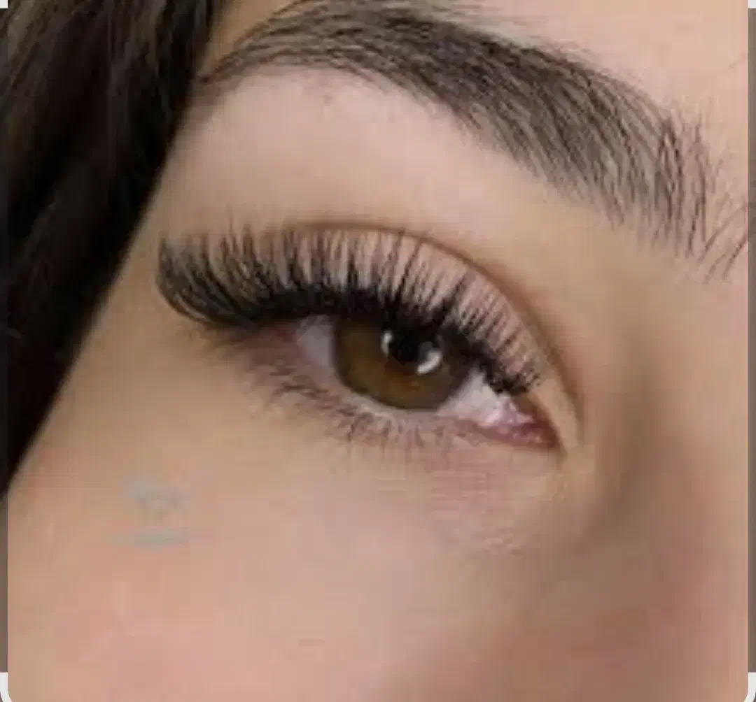 اموزش لیفت و لمینت مژه وابرو|خدمات آموزشی|تربت جام, شاد|دیوار