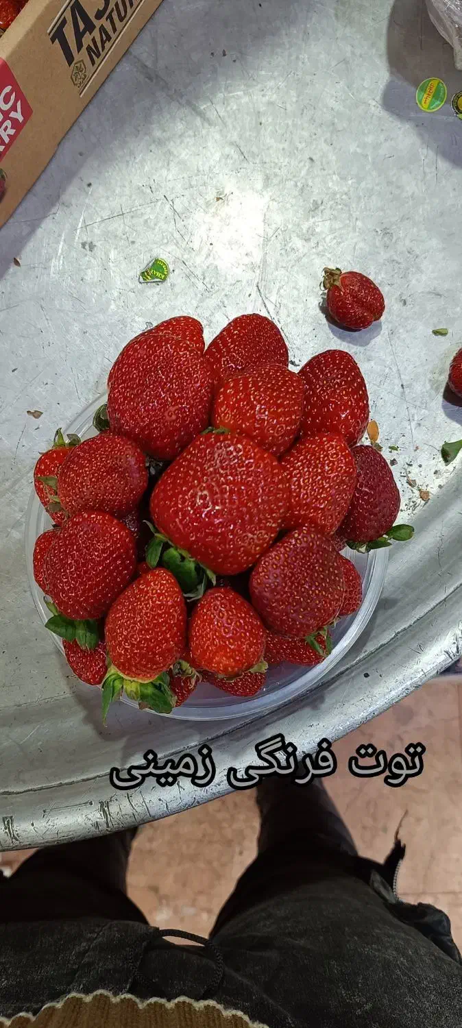 میوه استوایی|خوردنی و آشامیدنی|مشهد, فتح المبین|دیوار