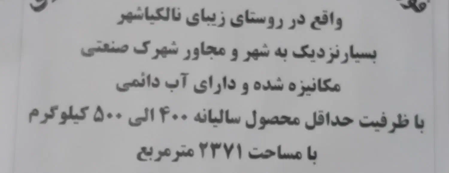 مناصفه شالیزار|اجارهٔ کوتاه‌مدت ویلا و باغ|لنگرود, |دیوار