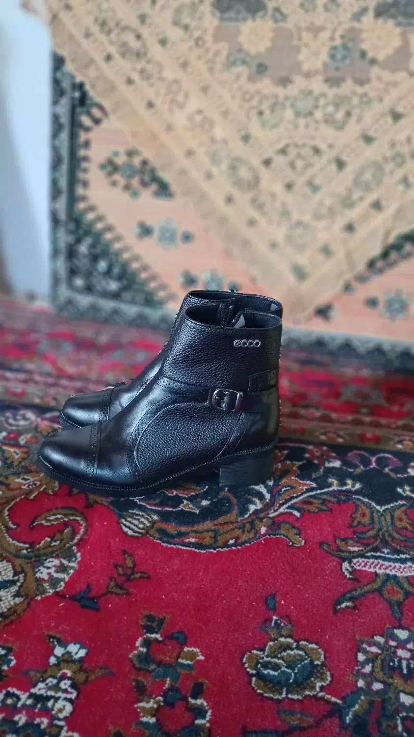 نیم بوت سالم ونو|کیف، کفش، کمربند|لنگرود, |دیوار