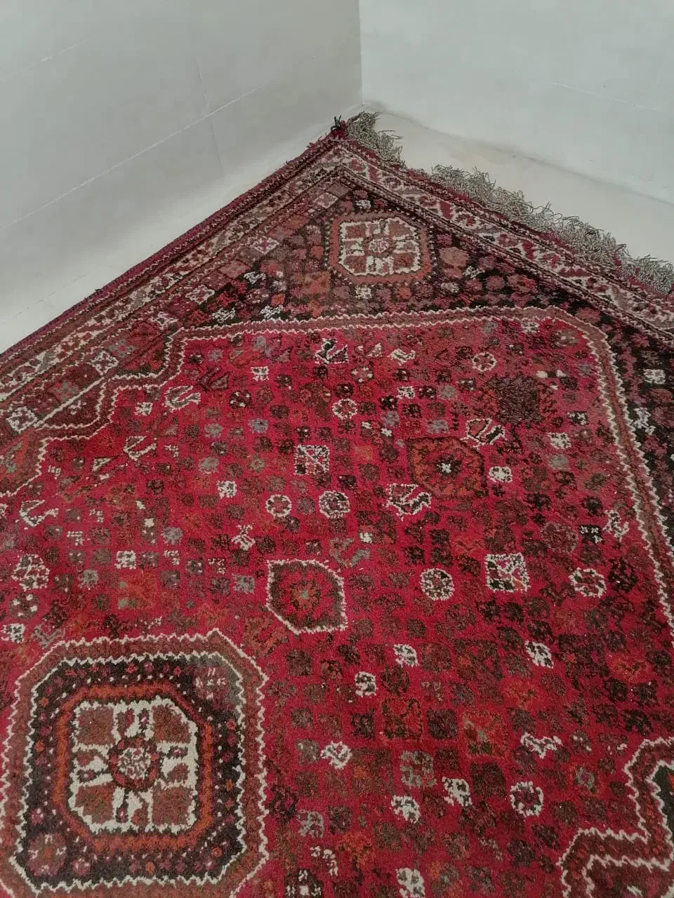 فرش دستباف ترکی|فرش|شیراز, کفترک|دیوار