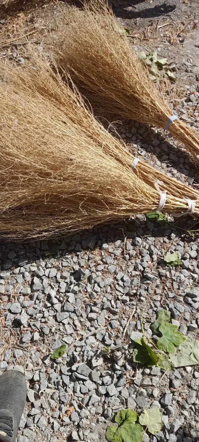 جارودستی|لوازم نظافت|ارومیه, |دیوار