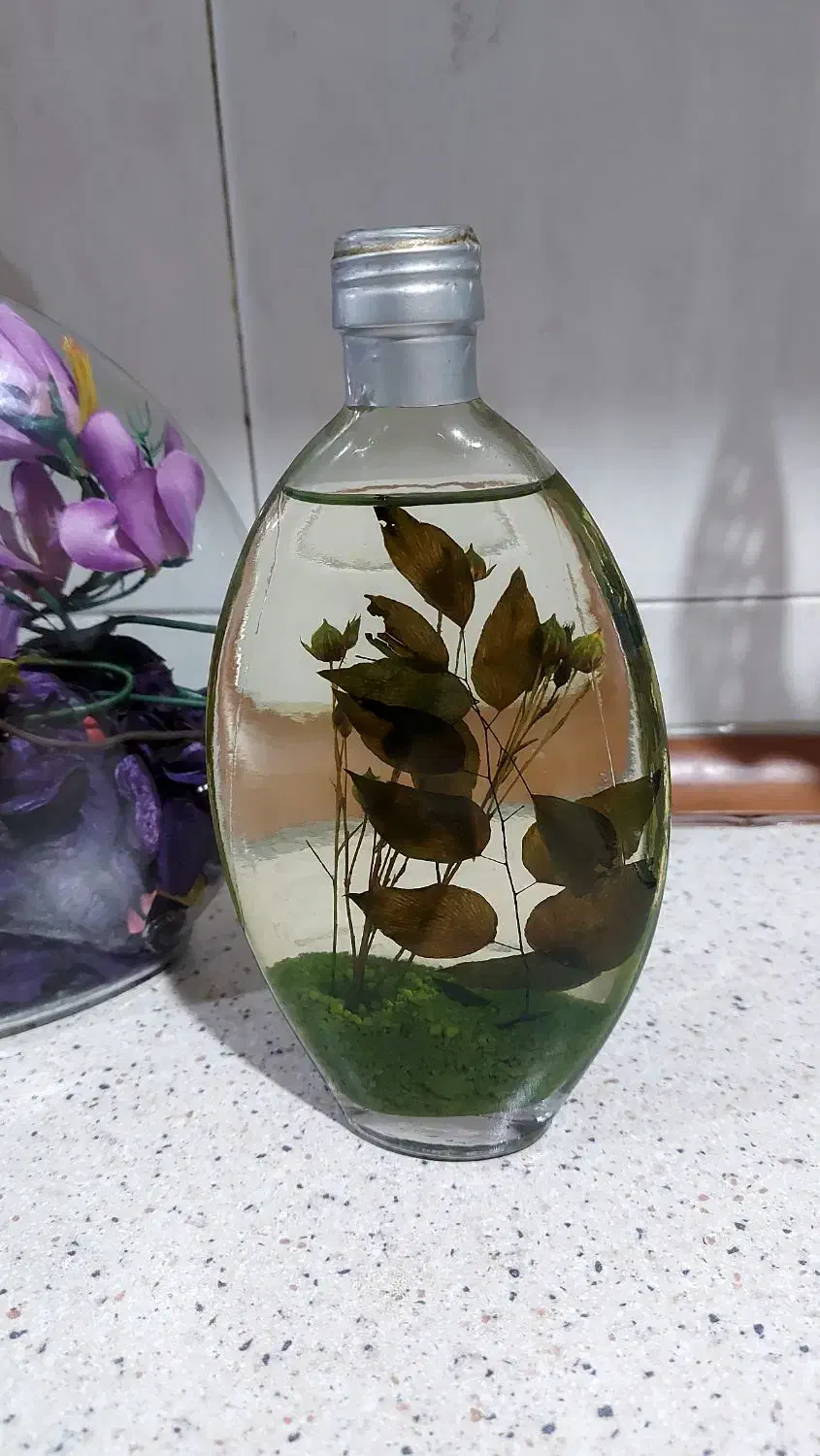 گلدان و مجسمه تزئینی|صنایع دستی و سایر لوازم تزئینی|تهران, شهرک رضویه|دیوار