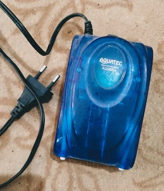 لوازم آکواریوم|لوازم جانبی حیوانات|مشهد, شهید قربانی|دیوار