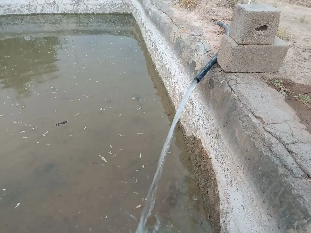 باغ ویلا|فروش خانه و ویلا|صوفیان, |دیوار