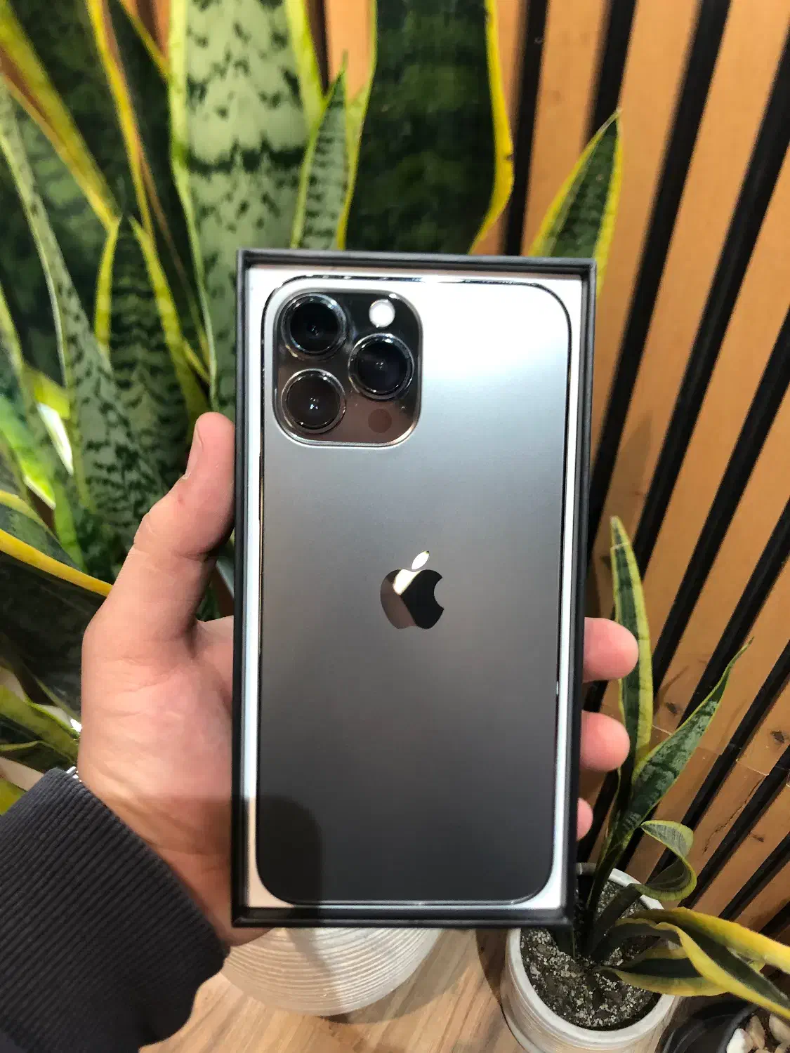 13promax 256. Zaaشرکتی|موبایل|تهران, شیخ هادی|دیوار