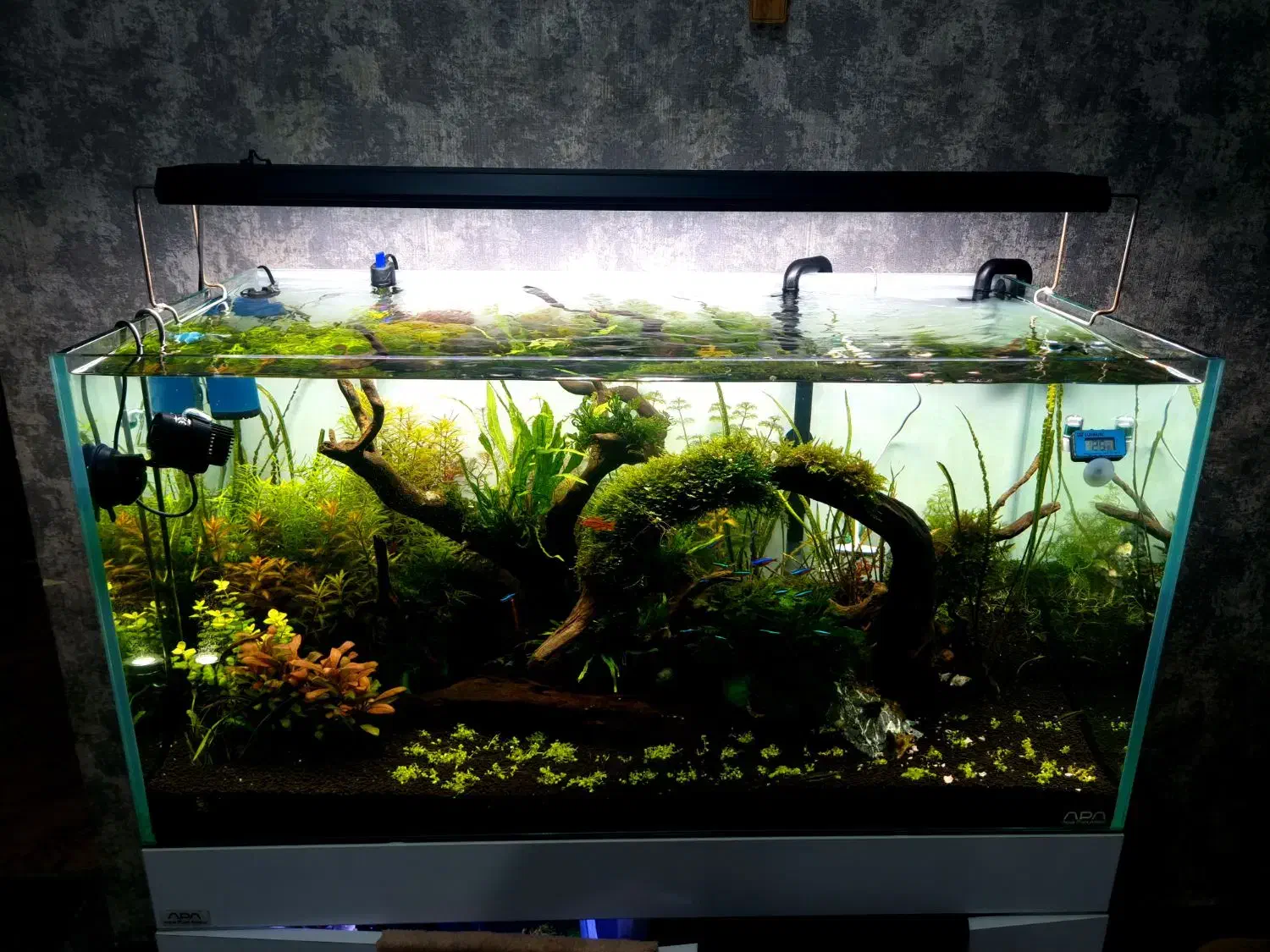 ال ای. دی حرفه ای ats|ماهی|اهواز, اسماعیلیه|دیوار