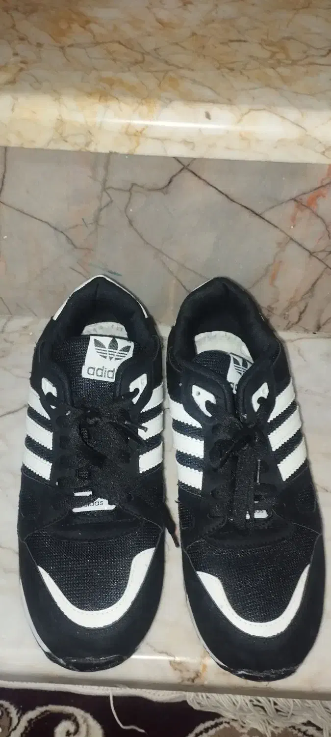 کتونی|کیف، کفش، کمربند|شیروان (خراسان), |دیوار