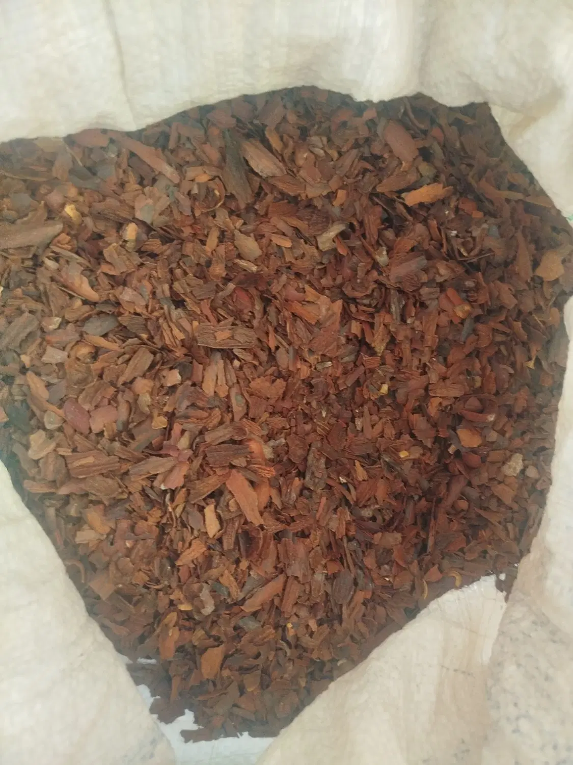 جفت کلگ|گل و گیاه طبیعی|دهدشت, |دیوار