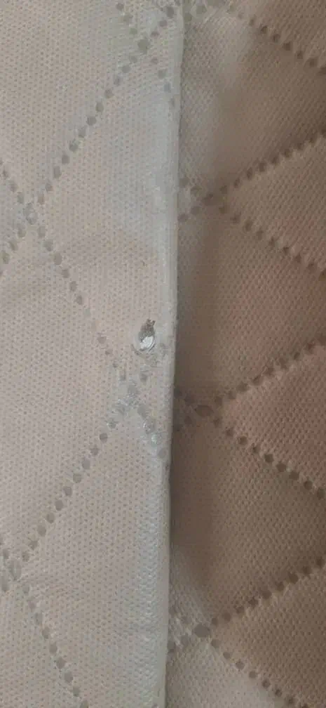 مبل|مبلمان خانگی و میز عسلی|شاهدشهر, |دیوار