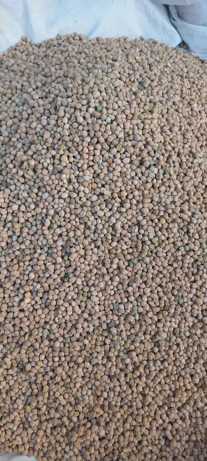 نخود بسطام|حراج|خرم‌آباد, |دیوار