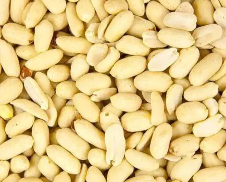 خلال بادام|عمده‌فروشی|آستانه اشرفیه, |دیوار