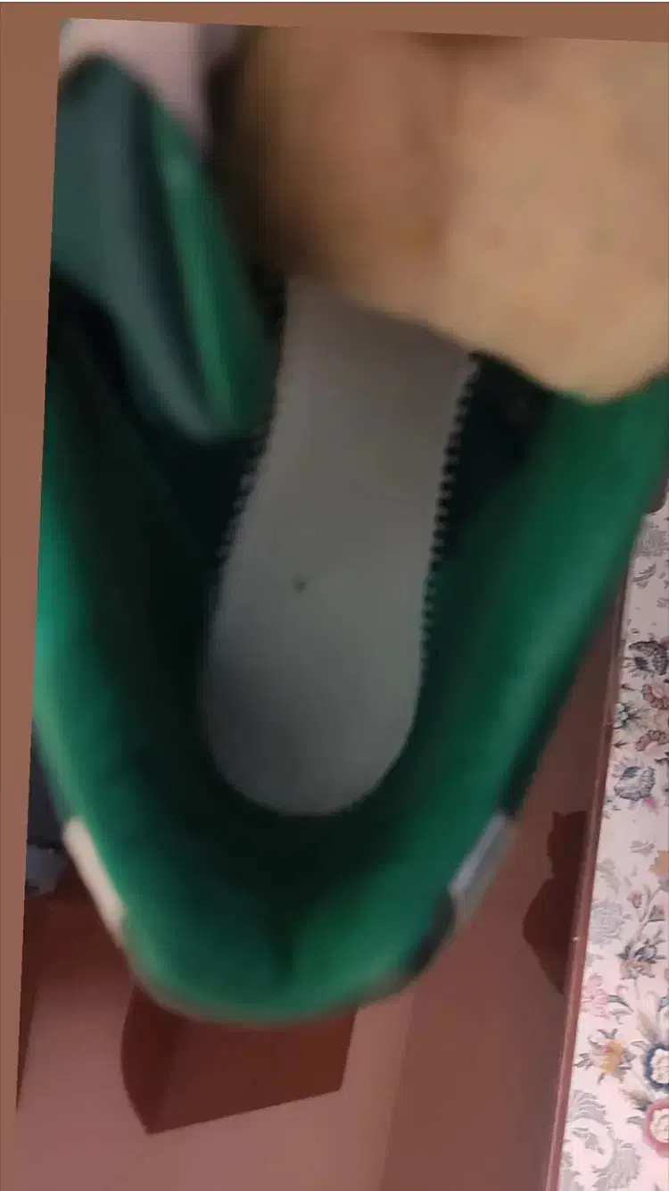 کتونی zxاورجینال|کیف، کفش، کمربند|فردیس, منظریه|دیوار