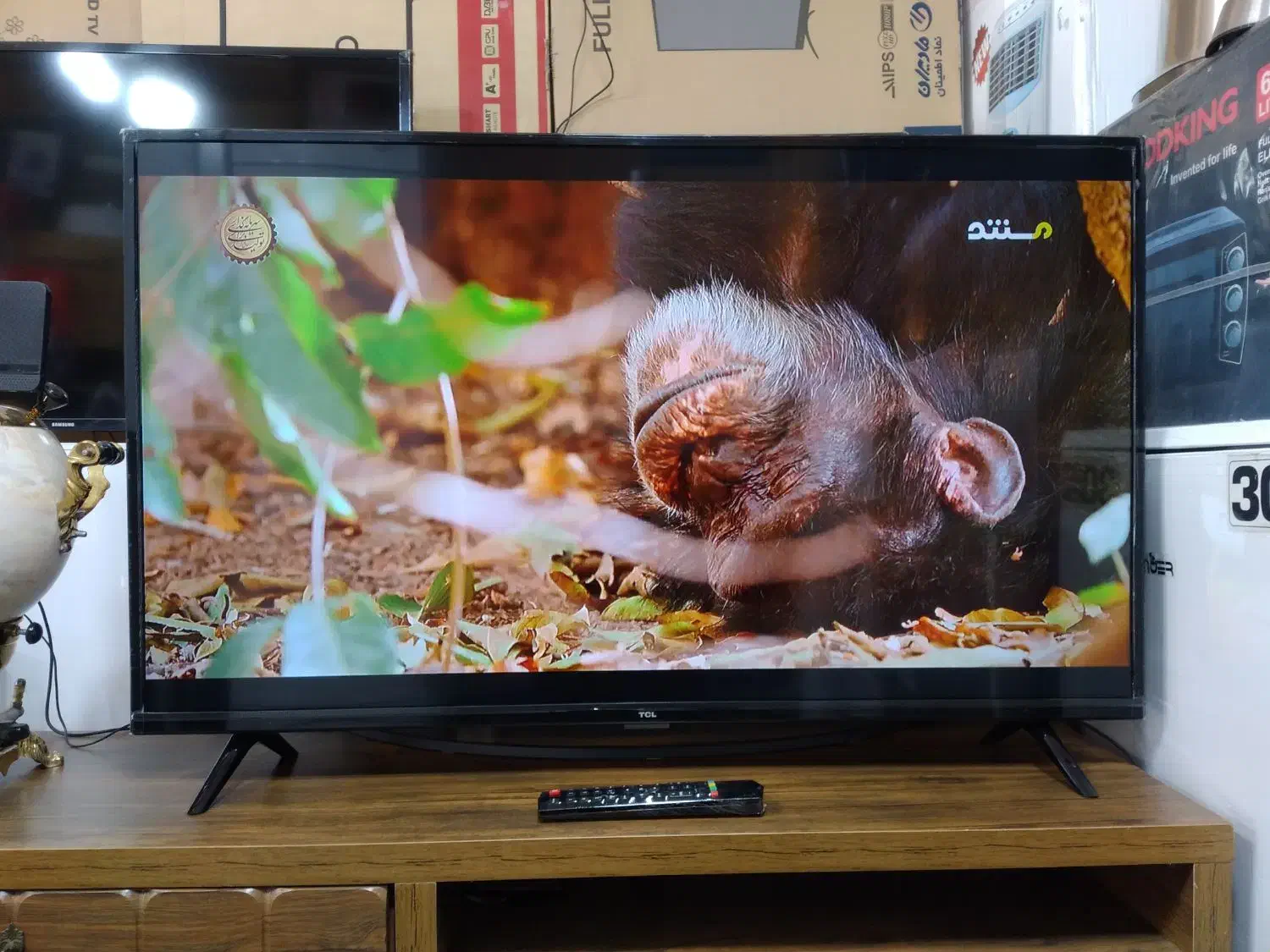 ال ای دی ۴۳ اینچ TCL استوک نمایشگاهی|تلویزیون و پروژکتور|پرند, فاز ۲|دیوار