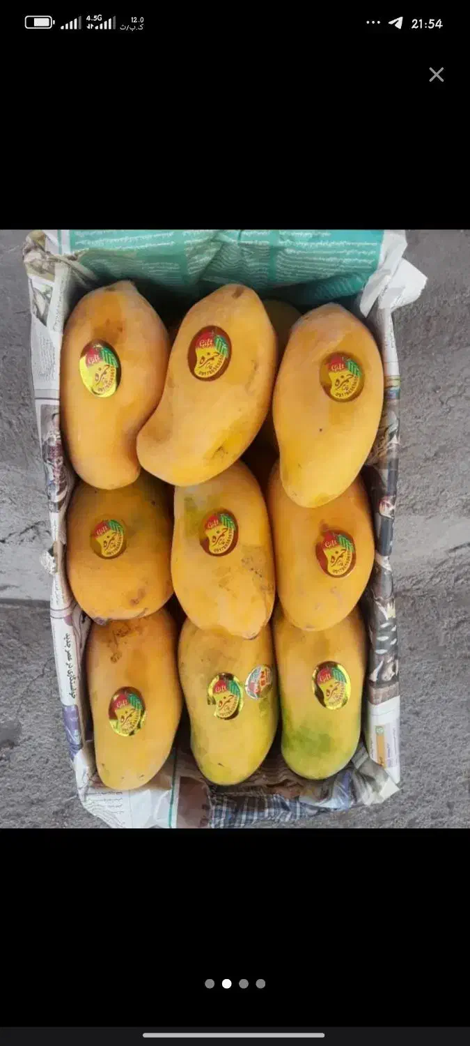 شریک و سرمایه برای بساط میوه|فعالیت داوطلبانه|مشهد, شهرک رازی (شهرک غرب)|دیوار