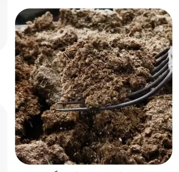 فروش کود گوسفندی|خدمات باغبانی و درختکاری|نشتارود, |دیوار