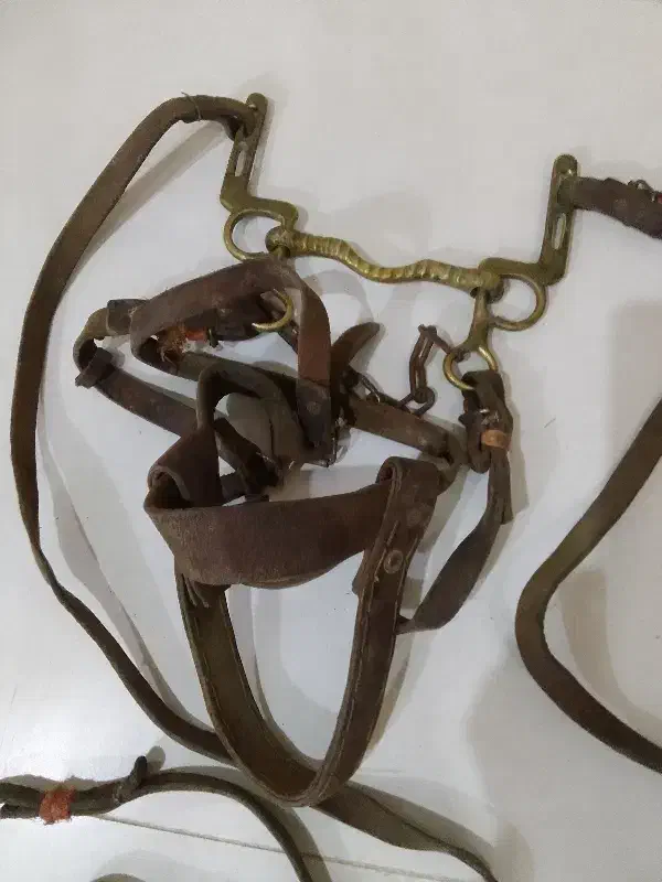 زین بغدادی قدیمت قدمت ۱۰۰سال|اسب و تجهیزات اسب‌سواری|درگز, |دیوار