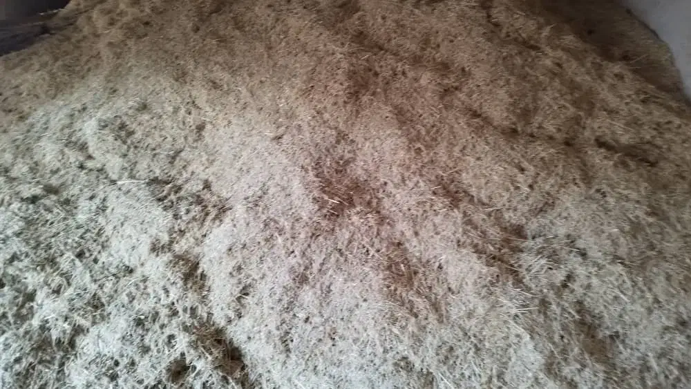 کاه نرم و درجه یک گوسفندی|حیوانات مزرعه|آمل, |دیوار