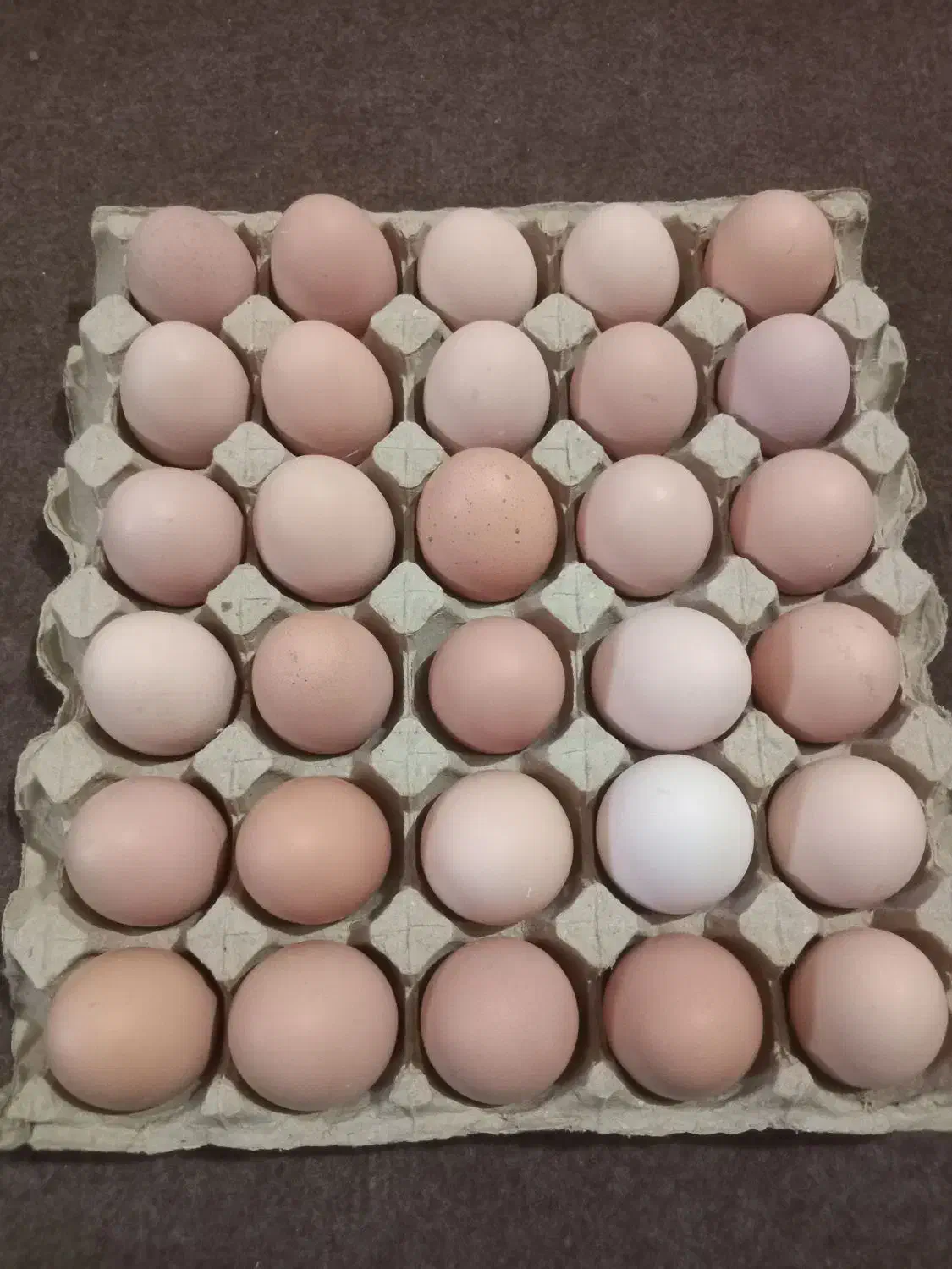 تخم مرغ محلی اصل گلپایگانی|خوردنی و آشامیدنی|شیراز, بازار|دیوار