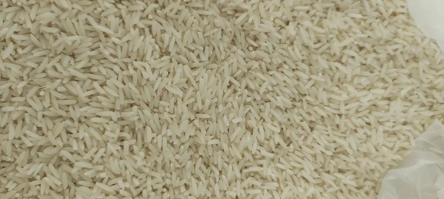 برنج دمسیاه|خوردنی و آشامیدنی|گنبد کاووس, |دیوار