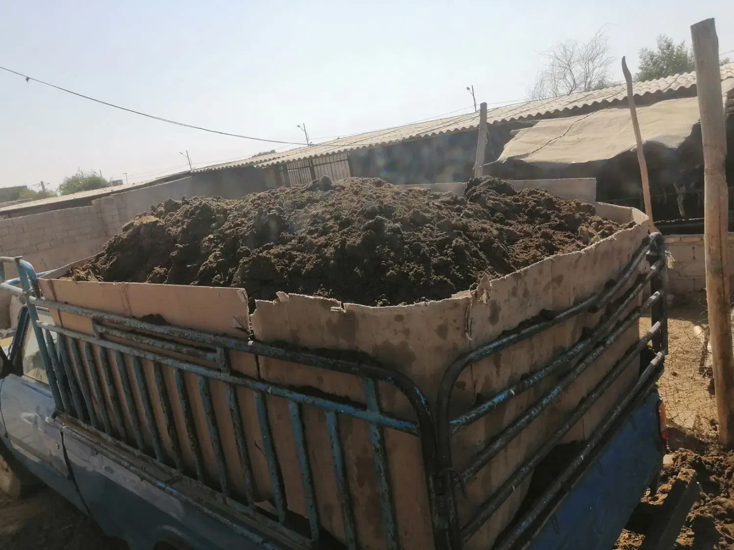 کودحیوانی|خدمات باغبانی و درختکاری|اهواز, پردیس|دیوار