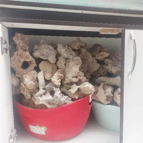 آکواریوم بزرگ ماهی مخصوص فروشگاه مرغ و ماهی زنده|ماهی|خرم‌آباد, |دیوار