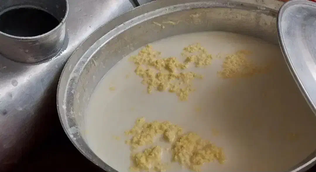 کره دوغی محلی|خوردنی و آشامیدنی|مشهد, امام رضا (ع)|دیوار