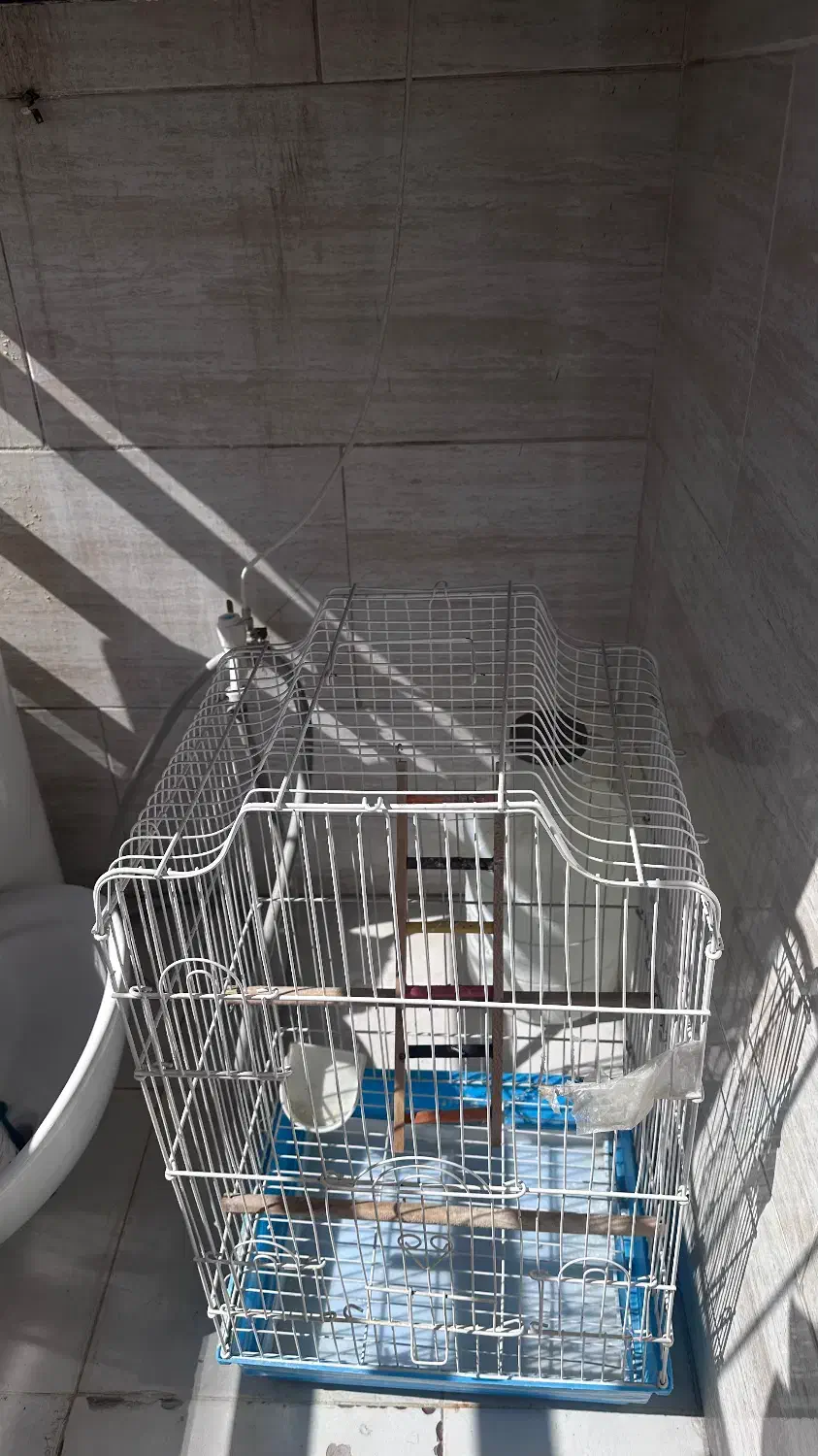 قفس پرنده|لوازم جانبی حیوانات|کرمانشاه, |دیوار