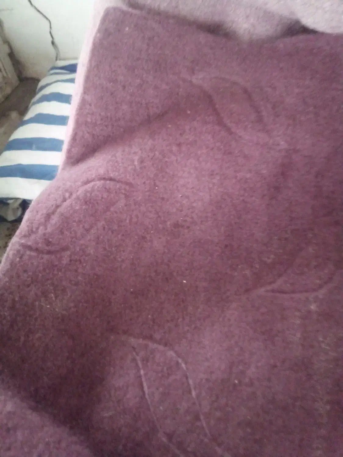 موکت کارکرده تمیز|موکت|کرمانشاه, |دیوار