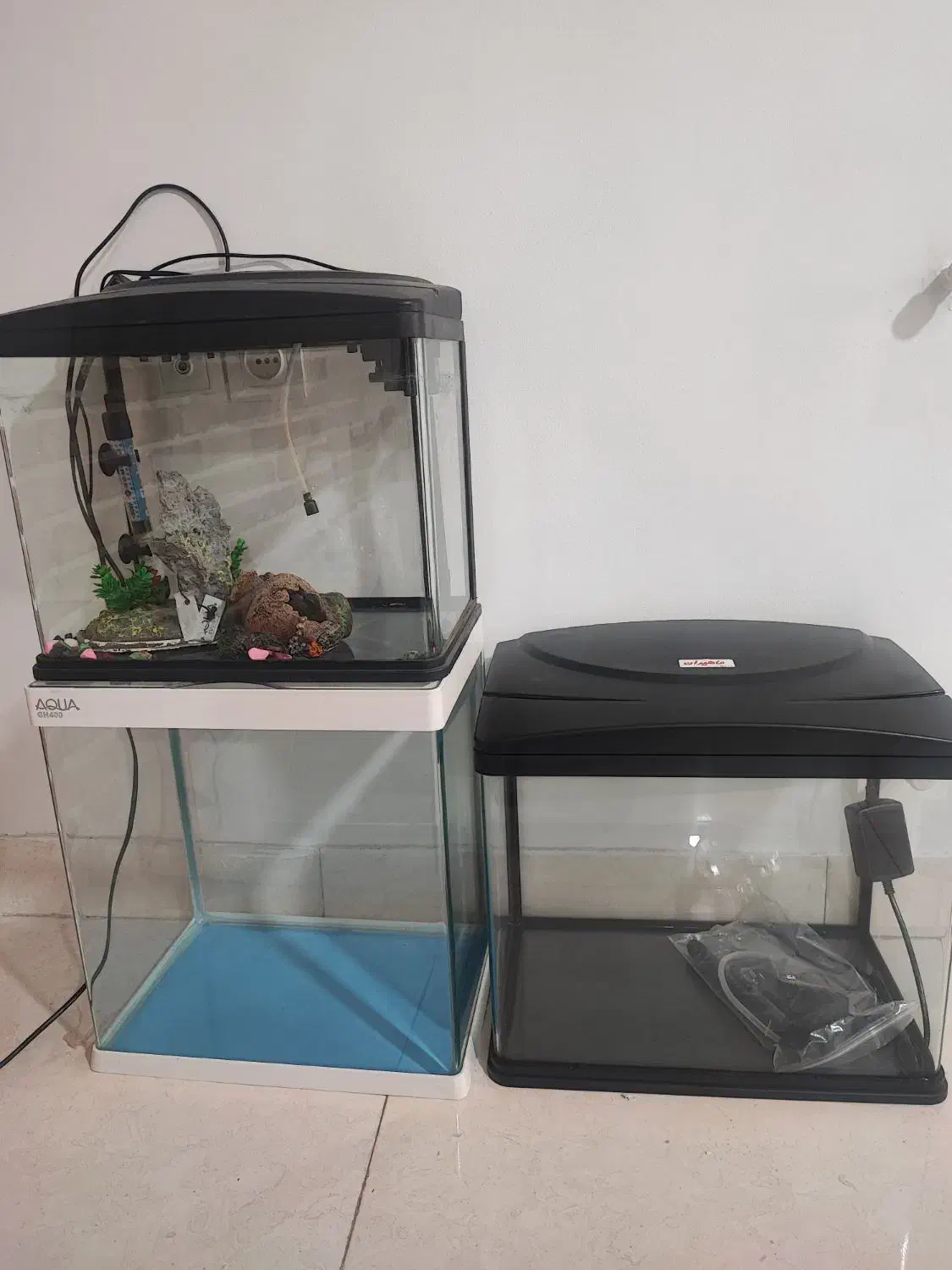 اکواریوم|ماهی|چهاردانگه (تهران), |دیوار