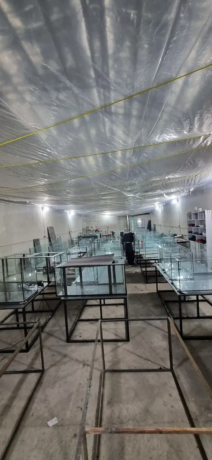 اکواریوم ریملس تولید مستقیم بدون واسطه|ماهی|تهران, وردآورد|دیوار