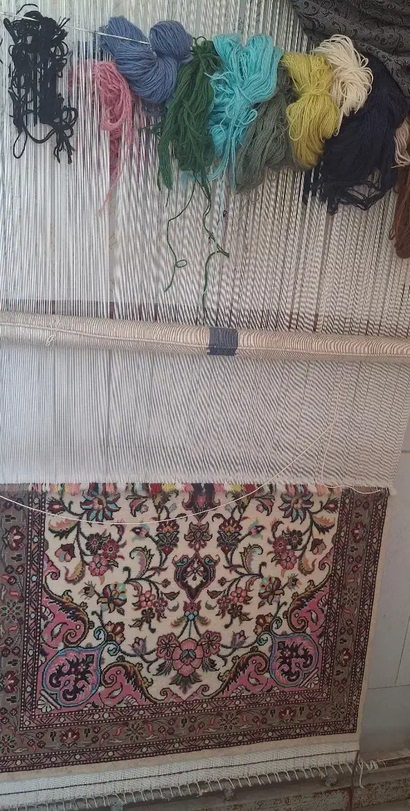 قالیباف ، قالی باف|استخدام هنری و رسانه|قم, نخودی|دیوار