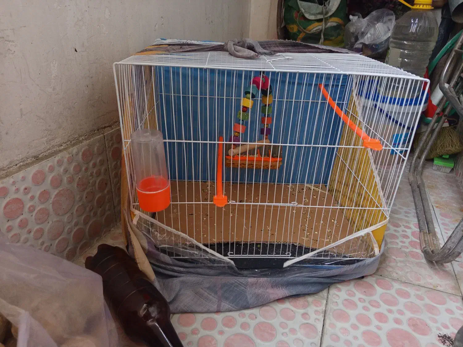 قفس پرنده عروس هلندی ، مینا با لوازم|لوازم جانبی حیوانات|مشهد, گلبرگ|دیوار