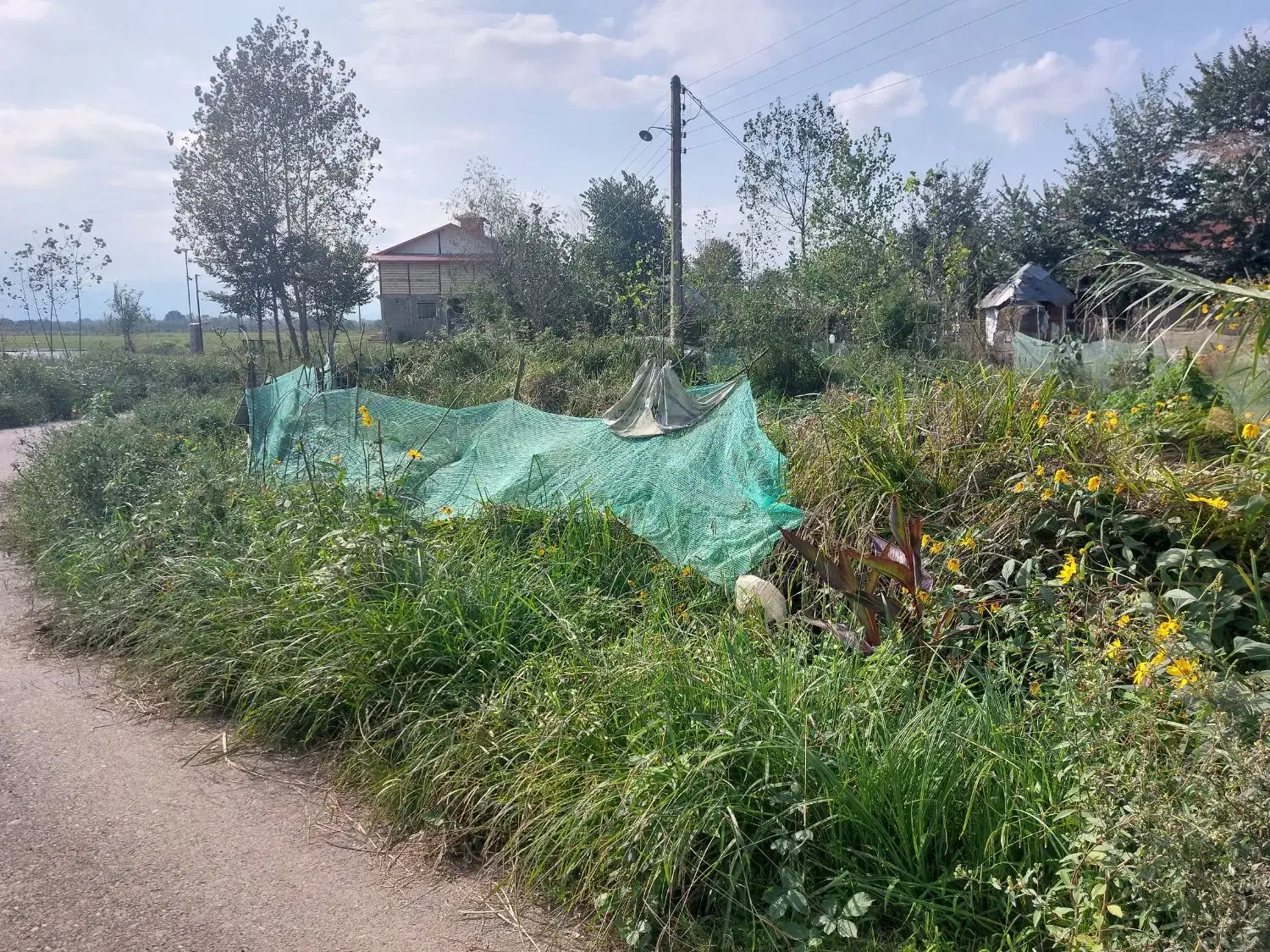 زمین کاربری مسکونی بر خیابون زیر قیمت|فروش زمین و ملک کلنگی|رشت, سلیمانداراب|دیوار