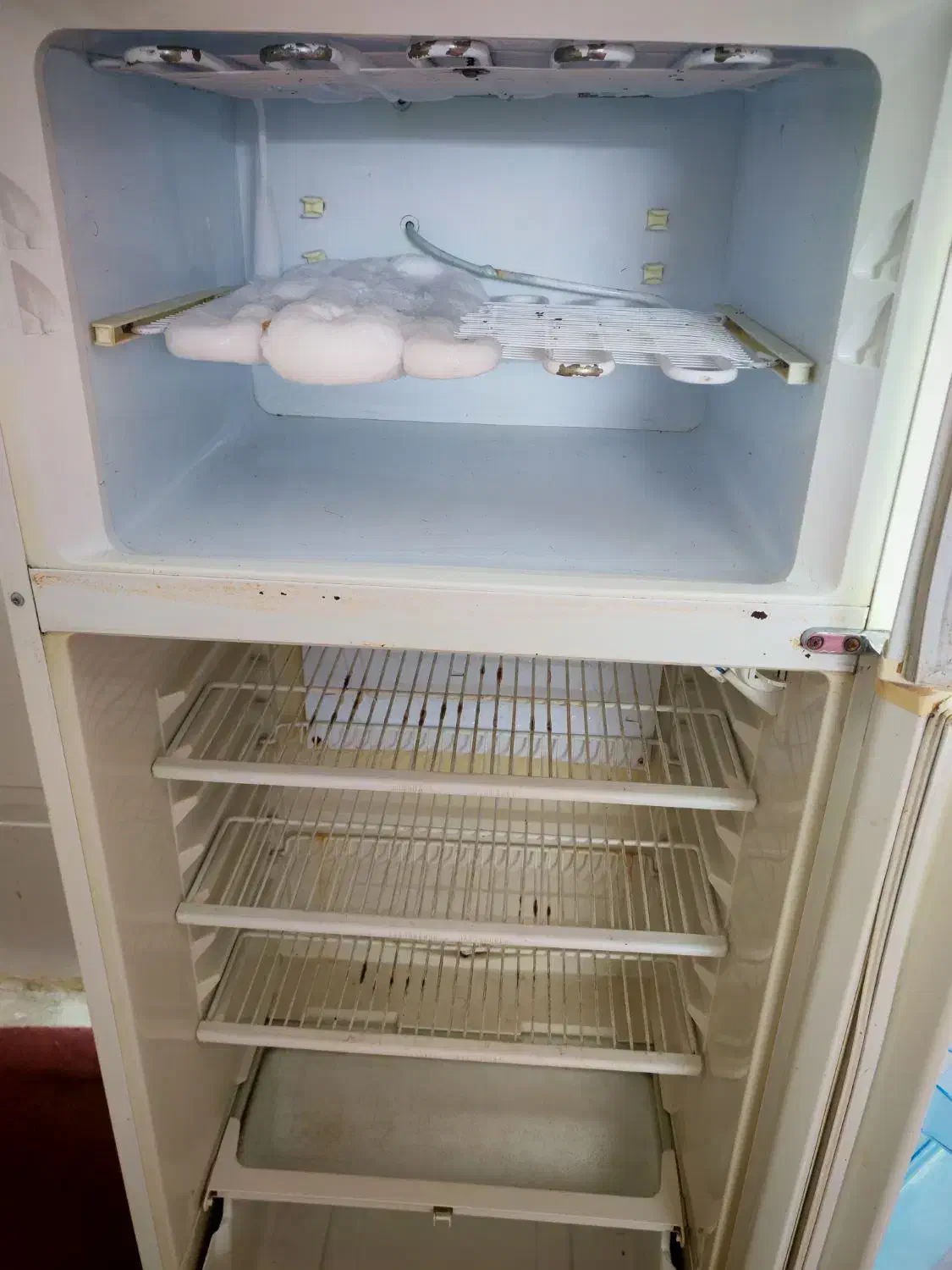 یخچال فریزر فیلور|یخچال و فریزر|قم, نیروگاه|دیوار