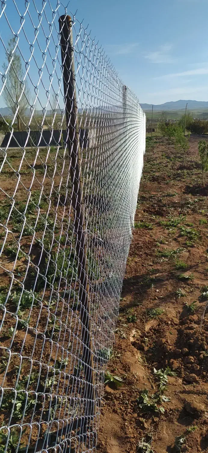 اجرای فنس کشی|خدمات باغبانی و درختکاری|زنجان, |دیوار