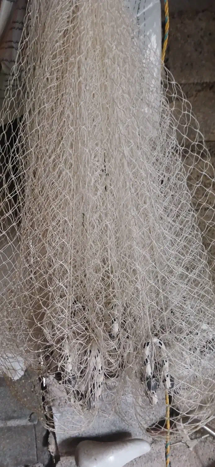 سالیگ برای ماهیگیری|ماهیگیری|آکند, |دیوار