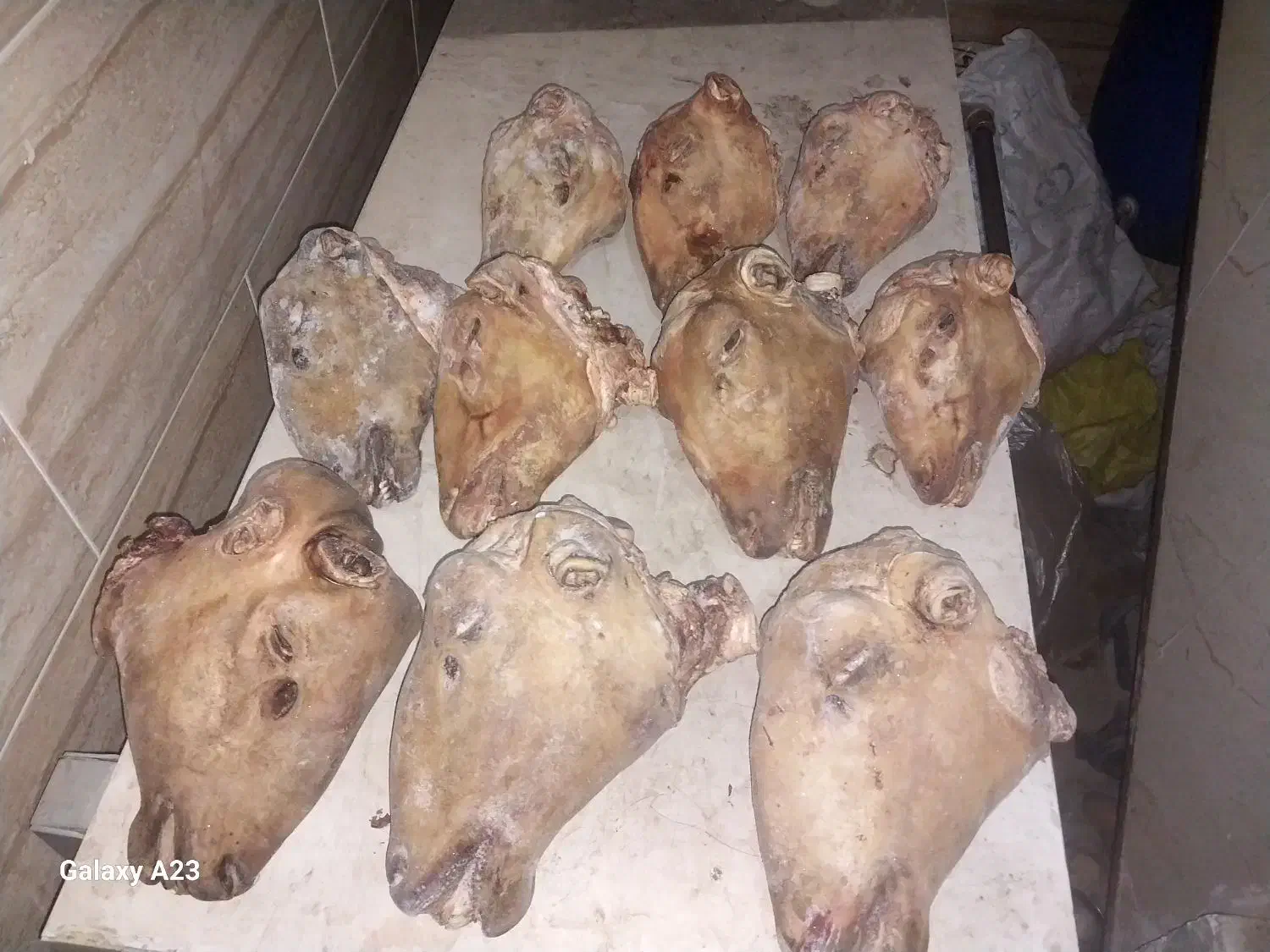 کله پاچه بره و شیشک پاچه گوساله و سیرابی|خوردنی و آشامیدنی|خمینی‌شهر, |دیوار