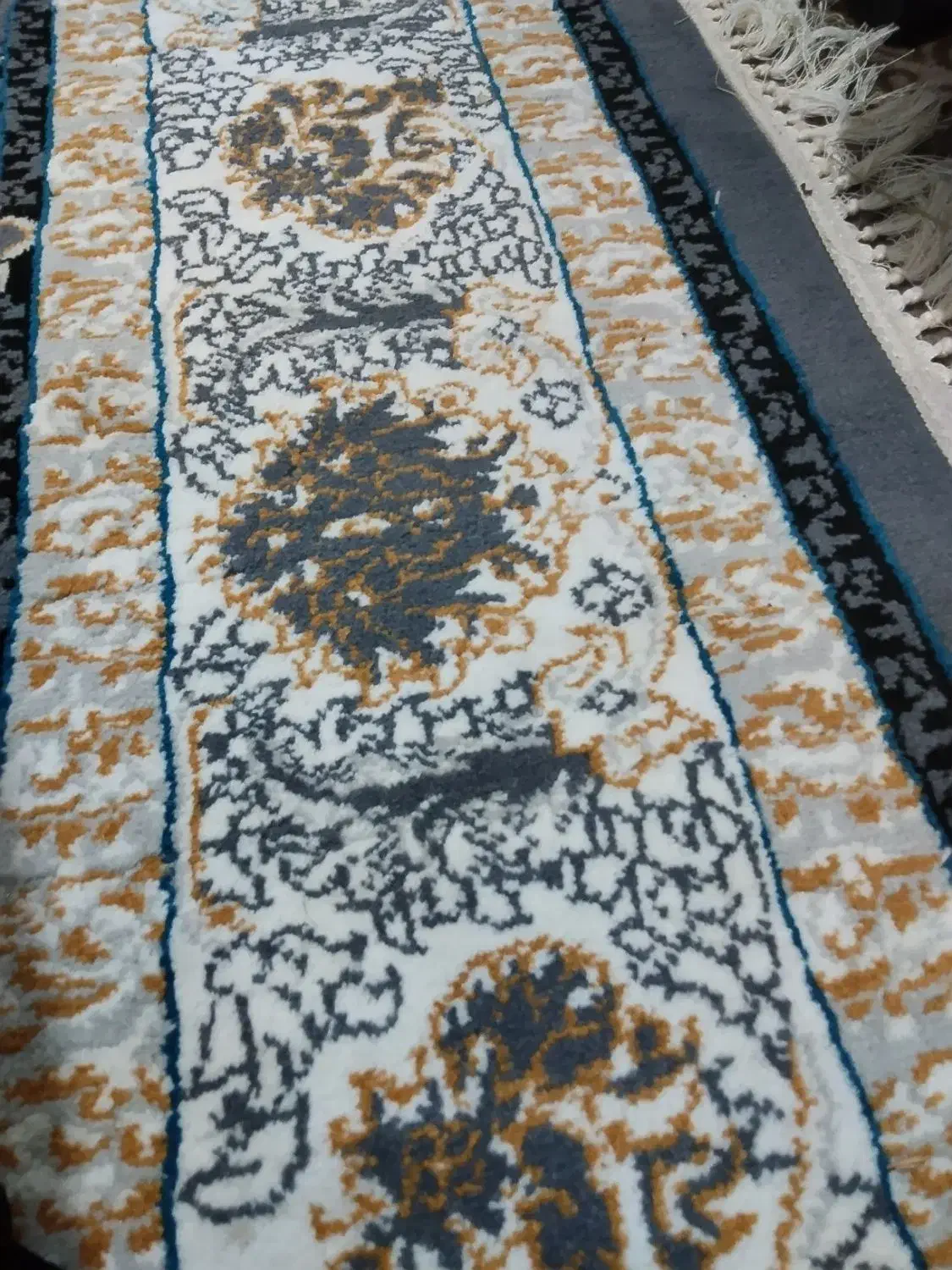 نظافت کاری .|خدمات نظافت|میناب, |دیوار