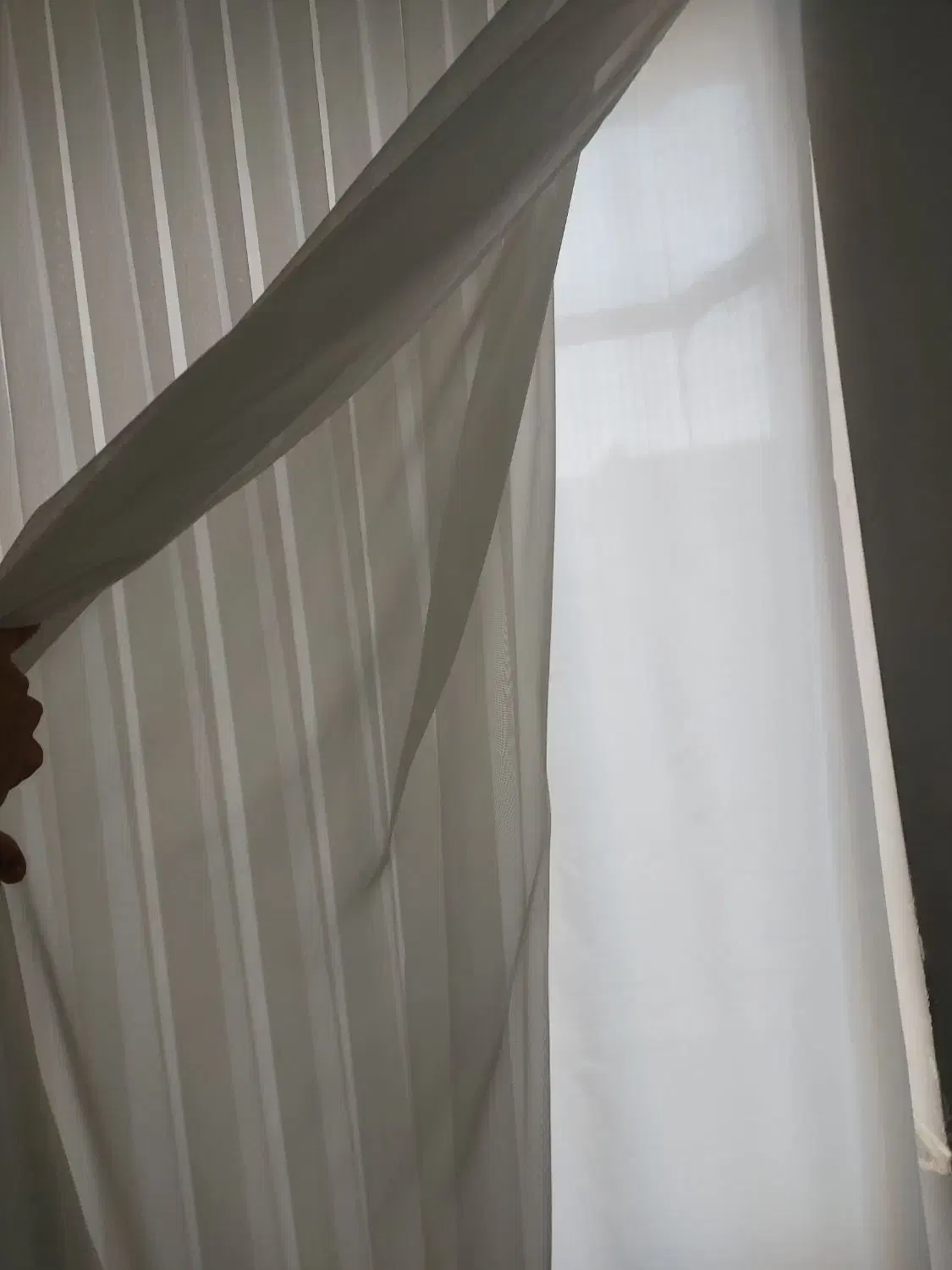 پرده|پرده، رانر، رومیزی|مشهد, نظام دوست|دیوار