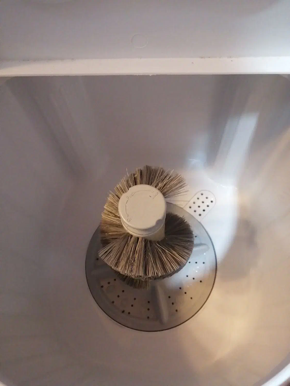 مینی واش ،کتونی شور|ماشین لباسشویی و خشک‌کن لباس|نور, |دیوار