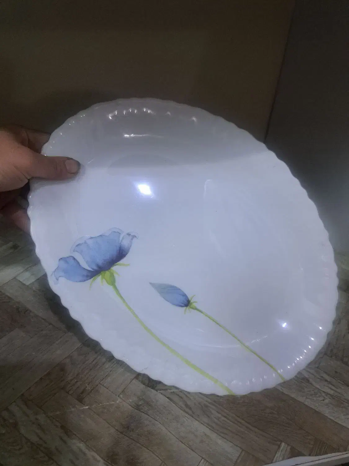 ارکوپال|ظروف سرو و پذیرایی|شاهین‌شهر, عطار|دیوار